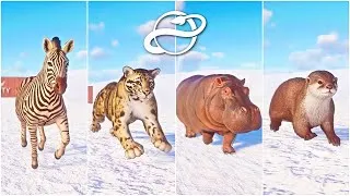 Thumbnail: 10+ Wild Animals Racing in Arctic Region | Planet Zoo | Otter, Jaguar, Zebra, Horse, Hippo and More