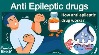 Thumbnail: Anti-Epileptic Drugs (AEDs) Explained in 10 Minutes | Mechanism, Uses & Side Effects