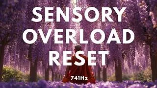 Thumbnail: 741Hz Thalamic Stillness SoundBath | 🌺 Sensory Overload Relief & Emotional Reset