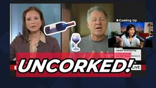 Thumbnail: This Guest Drops a Truth Bomb Live on CBC!
