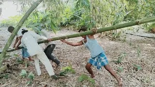 Thumbnail: Bamboo has the power to change your life. #video #AnjBambooCraft 