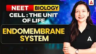 Thumbnail: Endomembrane System in One Shot | Cell: The Unit of Life | Re-NEET Biology | 4 Marks Guaranteed