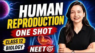 Thumbnail: Human Reproduction One Shot | Re-NEET 2026 Biology Revision