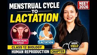 Thumbnail: Menstrual Cycle to Lactation | Class 12 Biology: Human Reproduction Chapter | NEET 2026