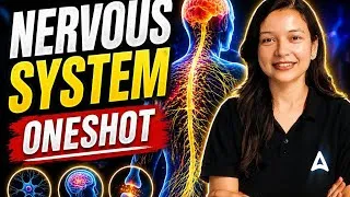 Thumbnail: Human Nervous System: Sabse Easy Explanation! 🧠 | Control & Coordination | NeoNEET