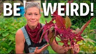 Thumbnail: Why "Weird" Crops Are the Secret to a Better Garden