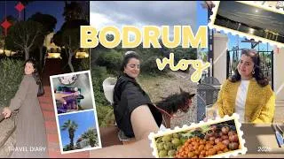 Thumbnail: bodrum 2026 vlog ‪‪❤︎ all inclusive vibes, a break from life and horse riding!‬‪‪