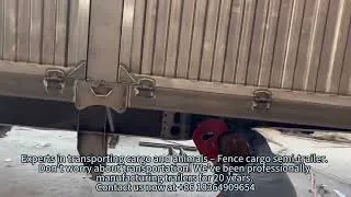 Thumbnail: 🌍 We Serve Industries Including Customize Your First Fence Cargo Trailer#china #trailer