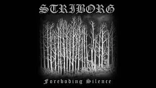 Thumbnail: Striborg- The Foreboding Silence (Album 2008)