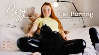 Thumbnail: this was supposed to be a different ASMR video, but the cat had other plans🙀No Talking