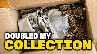Thumbnail: An Ant Keeper Quit...So I Took Their Ants