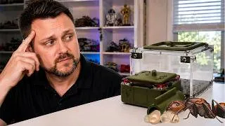 Thumbnail: Does Your Ant Colony Actually Need Your Help?