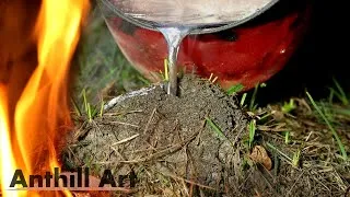 Thumbnail: Three Fire Ant Colony Casting Session, Part 3 (Cast #119)