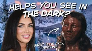 Thumbnail: The Mysterious Origins of Blue Eyes