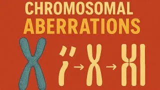 Thumbnail: 9.4 Chromosomes and chromosomal aberrations | Anthropology for upsc |