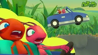 Thumbnail: Need for Speed! Racecar Chaos! 🚗💨 | 🐛 Antiks & Insectibles 🐜 | Funny Cartoons for Kids | Moonbug