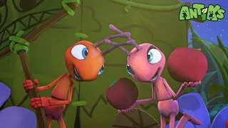 Thumbnail: Talent Show for Bugs! 🎭🐞 | 🐛 Antiks & Insectibles 🐜 | Funny Cartoons for Kids | Moonbug