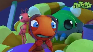 Thumbnail: 6-Legged Adventure! 🐜😄 | Joey & Boo Playtime | Antiks Adventures