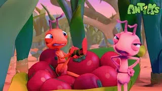 Thumbnail: Antiks Adventures: Break a Leg! 🐜😄 | Joey & Boo Kids Episode