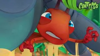 Thumbnail: Stuck Together! 🤝 Against a Giant Fly! 🪰 | Antiks 🐜 | Funny Cartoons for Kids
