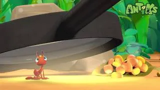 Thumbnail: UFO = An Unidentified Frying Object?! 🍳 Joey's Trapped! 😱 | Antiks 🐜 | Funny Cartoons for Kids