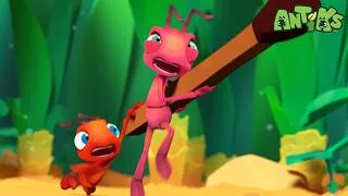 Thumbnail: Pesky Fly Steals Our Fruit! 🍎 Food Fight! | Antiks 🐜 | Funny Cartoons for Kids
