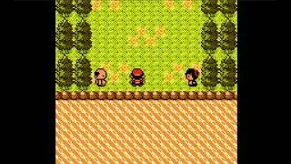 Thumbnail: Pokemon Fool's Gold Part 40 Route 48