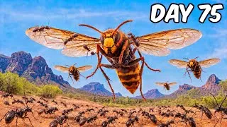 Thumbnail: I Put 1000 Ants Against an Army of Killer Hornets | 100 Days of Colony War