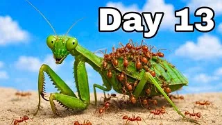 Thumbnail: 100 Venomous Ants vs Deadly Prey | 30 Days of Colony War