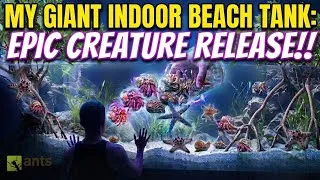 Thumbnail: I Added Creatures Into My Giant Lagoon Vivarium | Season 8, Episode. 1