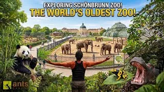 Thumbnail: Exploring the Oldest Zoo in the World | Inspiration for My Own Zoo