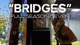 Thumbnail: "Bridges" Full Season Seven Compilation - The AntsCanada Ecosystem Vivarium Series