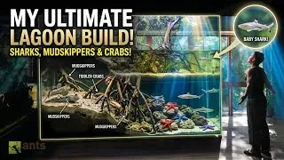 Thumbnail: My New Giant Lagoon Ecosystem Vivarium