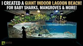 Thumbnail: I Created a Giant Indoor Lagoon Beach