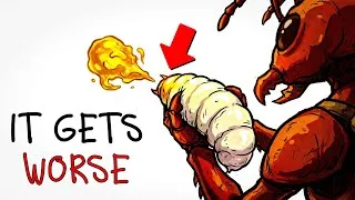 Thumbnail: Why It Sucks to Be a Baby Ant Used as a Glue Gun