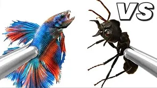 Thumbnail: 1,000 Ants V.S Fish | 😱 Anttrek Ant Colony Simulation
