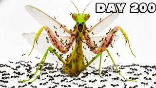 Thumbnail: 1,000 Ants VS Deadly Mantis 😱 ANTTREK Ant Colony Simulation
