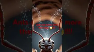 Thumbnail: Inside the Ant Network: Smell, Not Sight