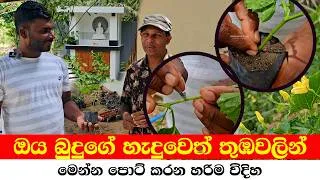 Thumbnail: All These Properties Were Bought Through Turmeric Farming