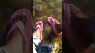 Thumbnail: Finding Serenity: The Ideal Escape by Calming Waters