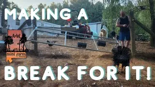 Thumbnail: Who made a break for it?
