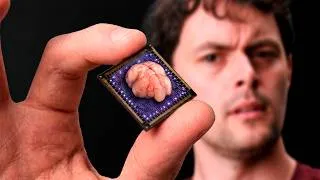 Thumbnail: The Terrifying Theory of Quantum Biology