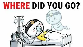 Thumbnail: Where Do You Go Under Anesthesia?