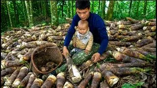 Thumbnail: Single Father Carries His Child Into the Mountains to Harvest Bamboo Shoots for the Market