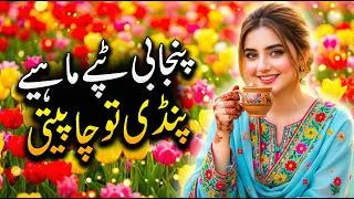 Thumbnail: Pindi Tu Cha Peti 2026 | New Saraiki Punjabi Tappy Hit Song | Official Music Video