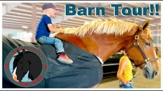Thumbnail: 2024 Draft Horse Show at Young Living Barn Tour!!, Percheron Shire Belgian Clydesdale essential oils