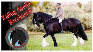 Thumbnail: Riding Apollo the Shire Bareback FOR THE FIRST TIME!! So Awesome!!