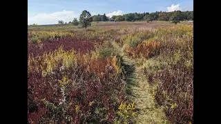 Thumbnail: Virginia's Grasslands: Past, Present, and Future