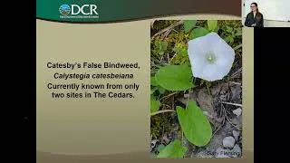 Thumbnail: Restoration Ecology for Rivercane, Native Prairies, and Beyond with Laura Young