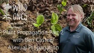 Thumbnail: Native Plant Propagation with Ben Casteel, Part 2
